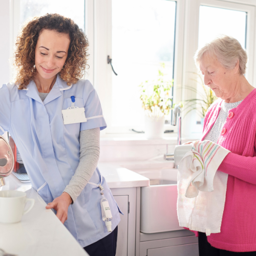 VHH - what does home care offer